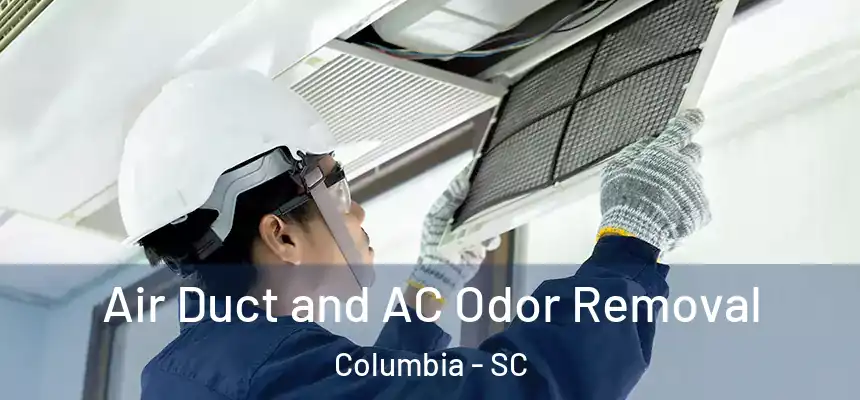 Air Duct and AC Odor Removal Columbia - SC
