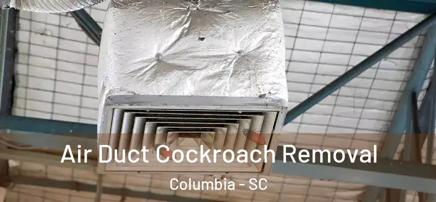Air Duct Cockroach Removal Columbia - SC