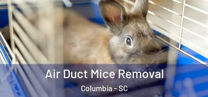 Air Duct Mice Removal Columbia - SC