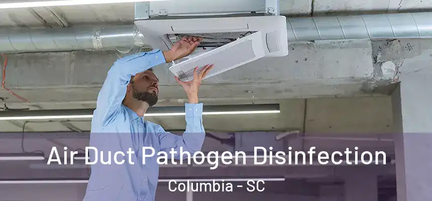  Air Duct Pathogen Disinfection Columbia - SC