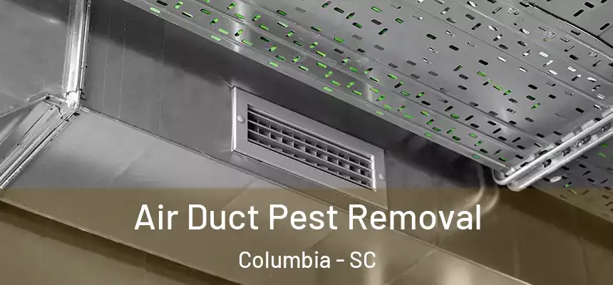 Air Duct Pest Removal Columbia - SC