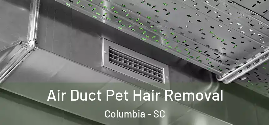 Air Duct Pet Hair Removal Columbia - SC