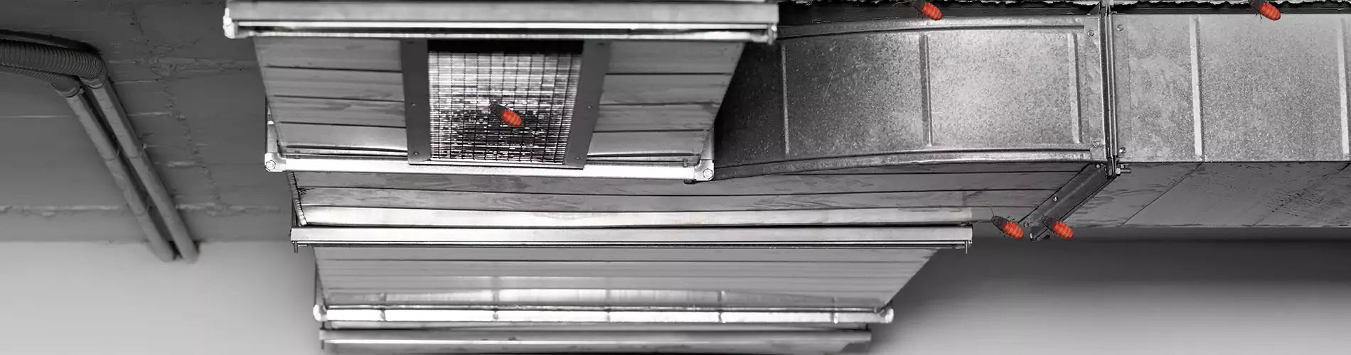 Air Duct Cockroach Removal in Columbia, SC - Air Duct Pest Control