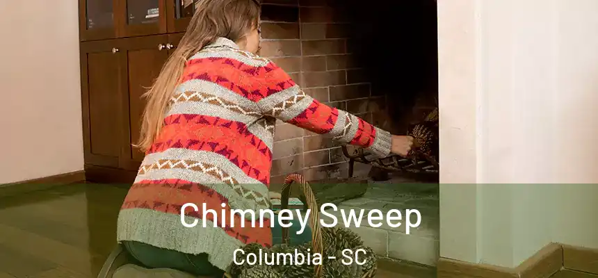 Chimney Sweep Columbia - SC