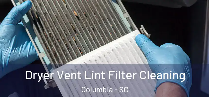 Dryer Vent Lint Filter Cleaning Columbia - SC