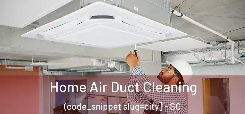  Home Air Duct Cleaning (code_snippet slug=city] - SC