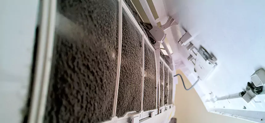 Preventive Air Duct Bacteria Removal in Columbia