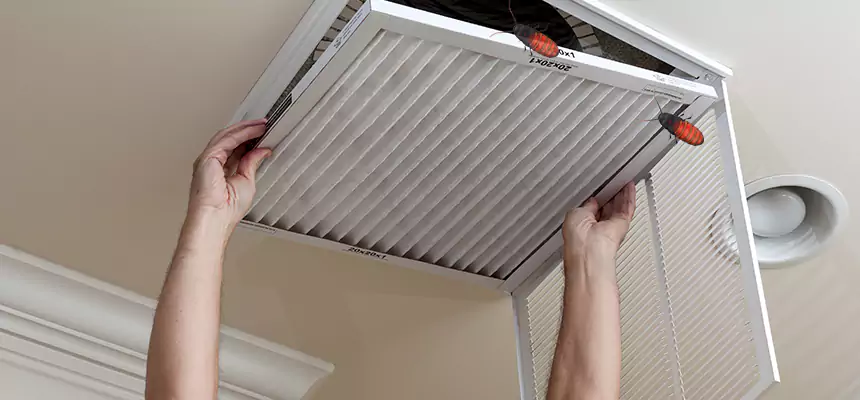Preventive Cockroach-Proofing for Ducts in Columbia