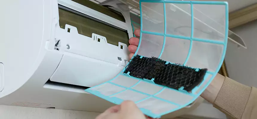 Gentle Ductwork Odor-Control Pet Dander Duct Cleaning in Columbia, SC