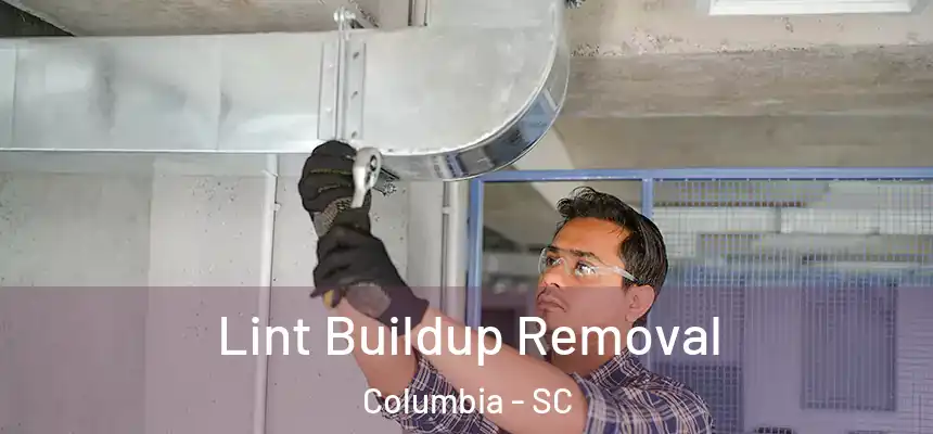 Lint Buildup Removal Columbia - SC