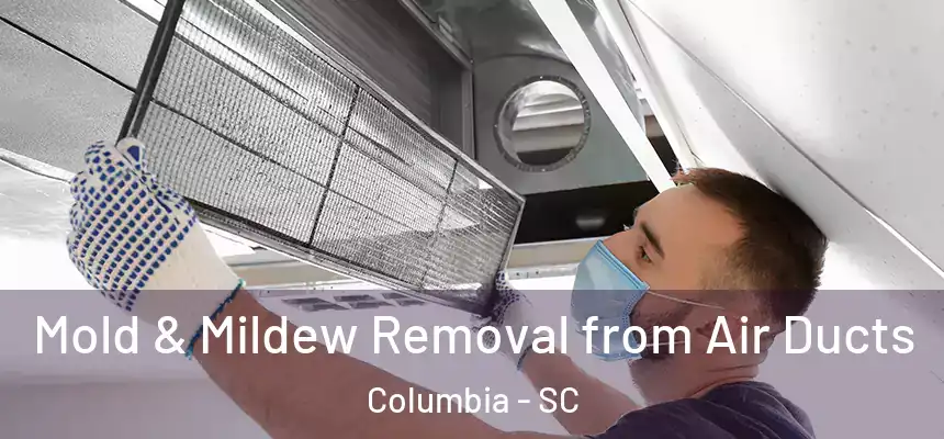  Mold & Mildew Removal from Air Ducts Columbia - SC