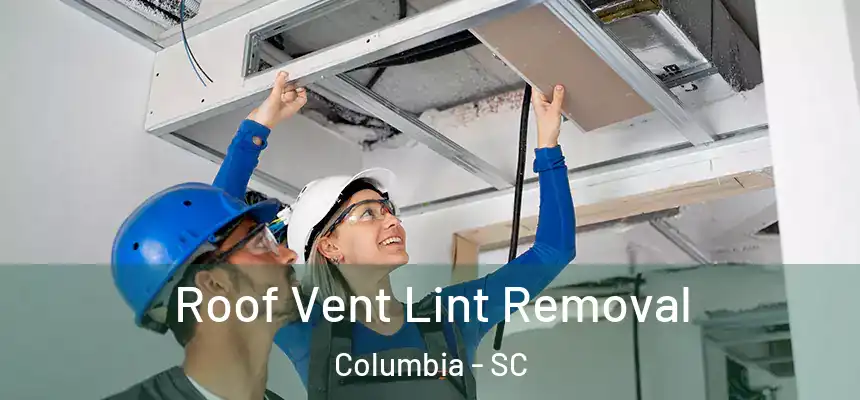 Roof Vent Lint Removal Columbia - SC