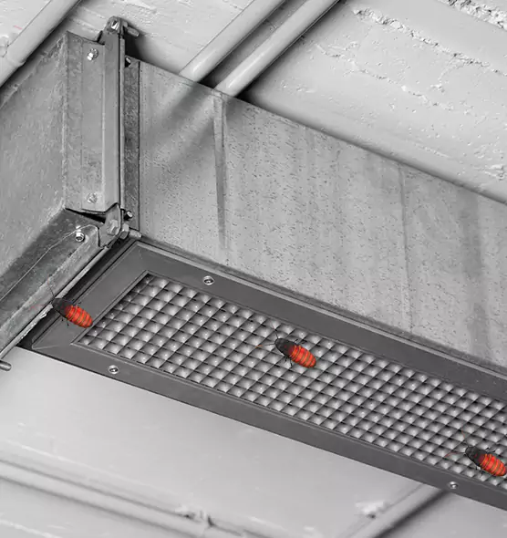 About Air Duct Cockroach Removal in Columbia, SC