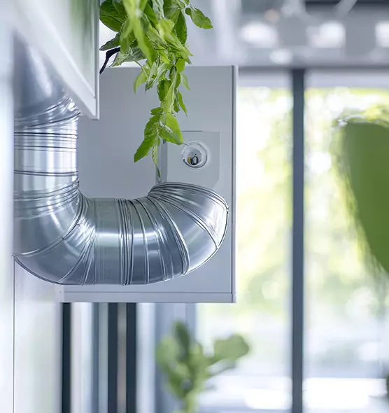 Professional Eco-Safe Dryer Vent Cleaning in Columbia, SC