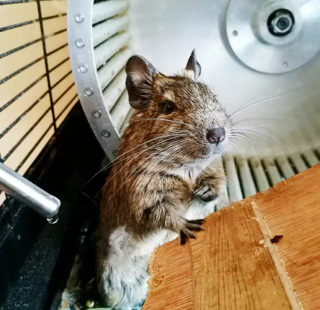 Why Homeowners & Businesses Trust Us Columbia, SC?