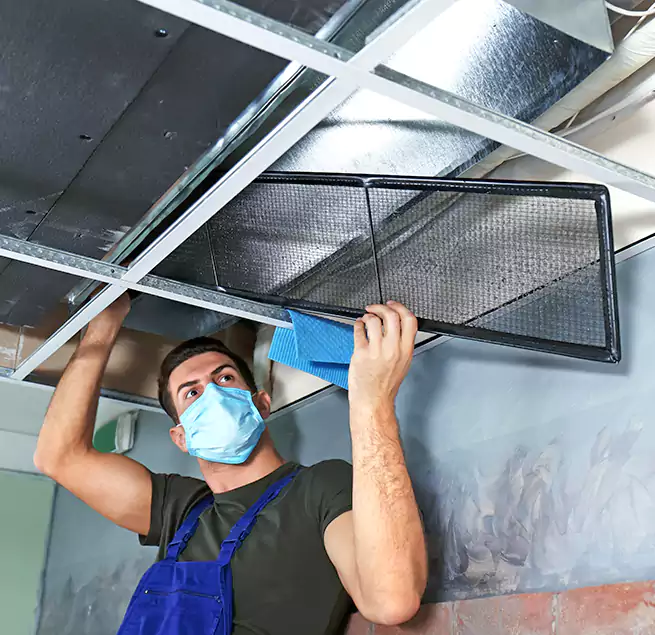 Why Homeowners Businesses Trust Us in Columbia, SC