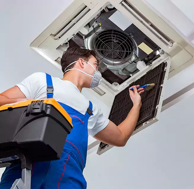 Why Homeowners & Businesses Trust Us in Columbia, SC?