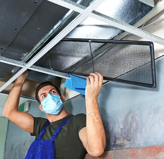 Why Homeowners & Businesses Trust Us in Columbia, SC?