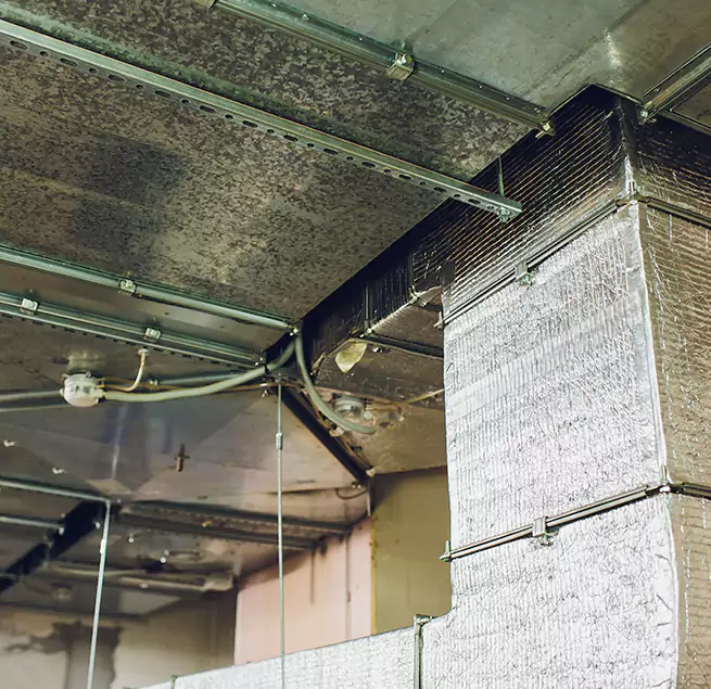 Why Homeowners & Businesses Trust Us in Columbia, SC?